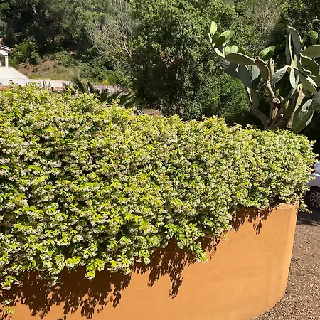 Villino Il Limone Nisporto